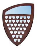 sh20-540_shield-perpetual-award-1.jpg