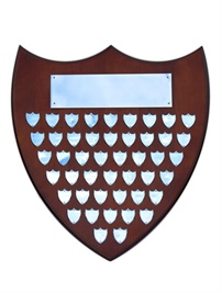 sh4-540-timber-shield-perpetual.jpg