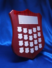 shield-c1_perpatual-shield-award.jpg