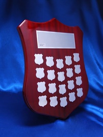 shield-c1_perpatual-shield-award.jpg