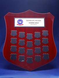 shield-c1_perpatual-shield-award.jpg