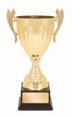 tgc001_discount-trophy-cups.jpg