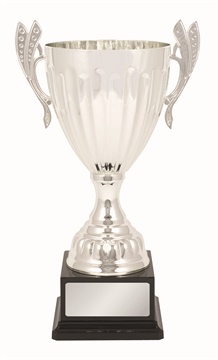 tgc002_discount-trophy-cups.jpg