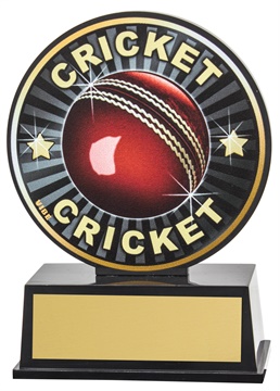 vb40_discount-cricket-trophies.jpg