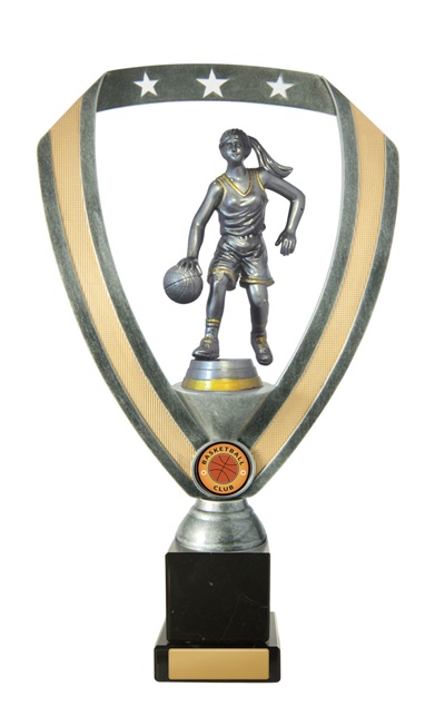 w18-2806_discount-basketball-trophies.jpg
