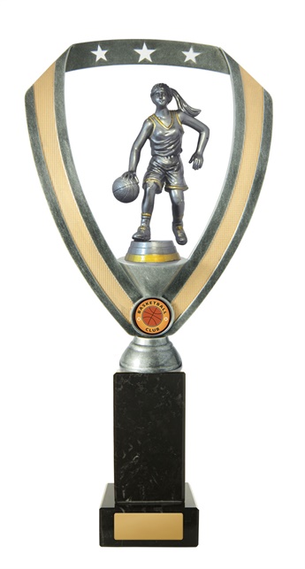w18-2806_discount-basketball-trophies.jpg