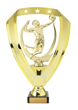 w19-12116_discount-volleyball-trophies.jpg