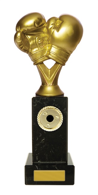 w19-8418_discount-boxing-trophies.jpg