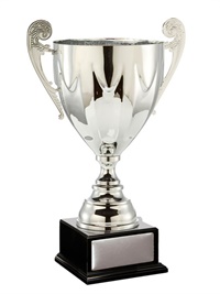 w21-0401_discount-cups-trophies.jpg