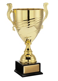 w21-0404_discount-cups-trophies.jpg