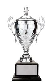 w21-0407_discount-cups-trophies.jpg