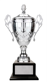 w21-0407_discount-cups-trophies.jpg