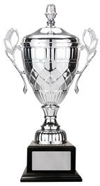 w21-0407_discount-cups-trophies.jpg