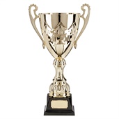 w21-0728_discount-cups-trophies.jpg