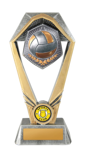 w21-11021_discount-touch-volleyball-trophies.jpg