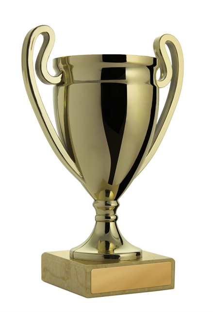 w21-3123_discount-cups-trophies.jpg