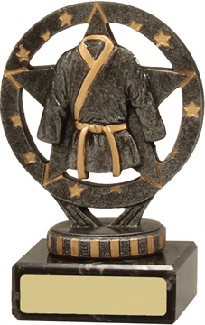 x7399_discount-martial-arts-trophies.jpg