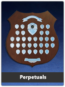 elite-sports-awards-trophies_3b_perpetuals.jpg