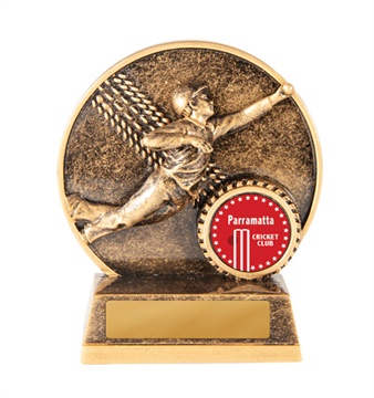 1005-1flda_discount-cricket-trophies.jpg