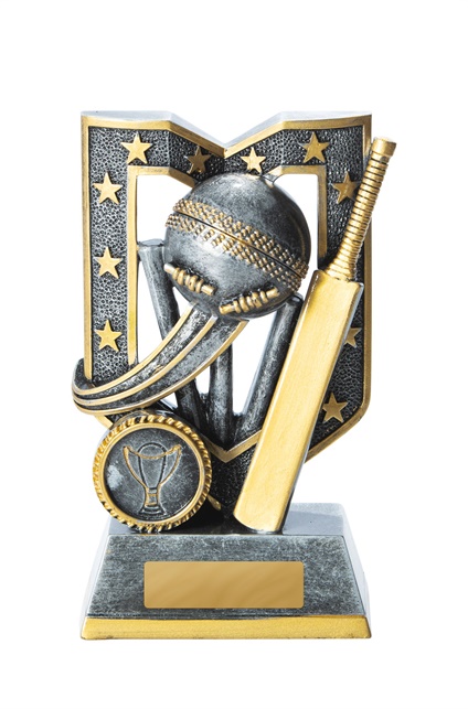 1007-1a_discount-cricket-trophies.jpg