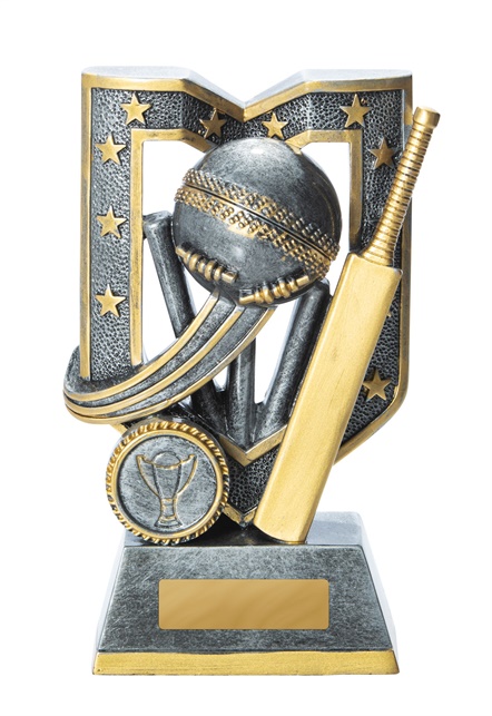 1007-1a_discount-cricket-trophies.jpg