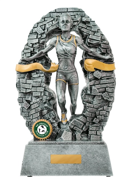1010-17fa_discount-general-sports-trophies.jpg