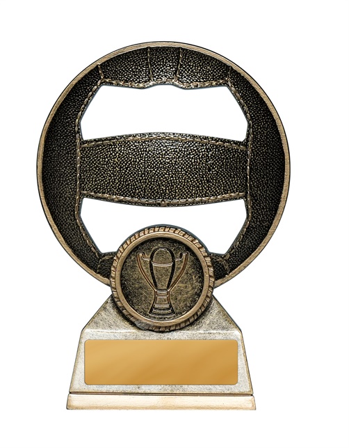 1013-8a_discount-netball-trophies.jpg