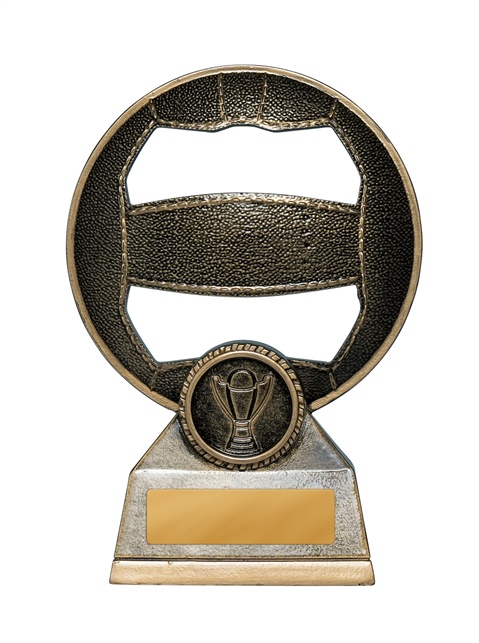 1013-8a_discount-netball-trophies.jpg