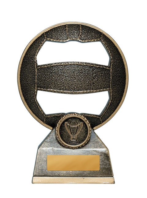 1013-8a_discount-netball-trophies.jpg