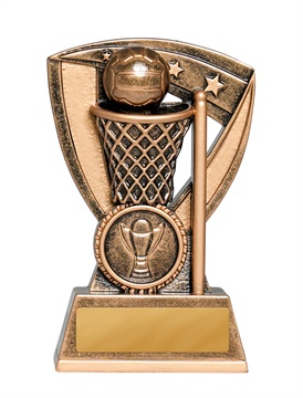 1014-8a_discount-netball-trophies.jpg