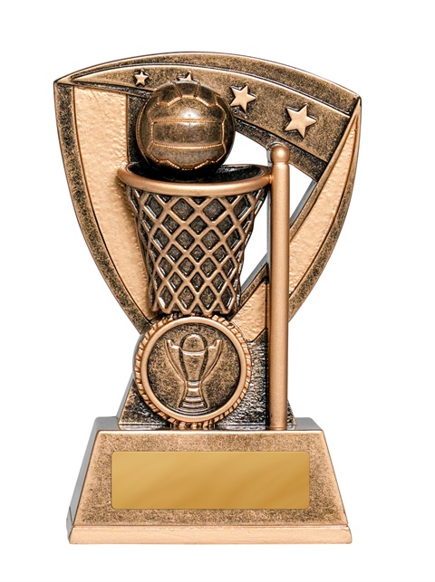 1014-8a_discount-netball-trophies.jpg