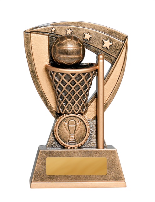 1014-8a_discount-netball-trophies.jpg
