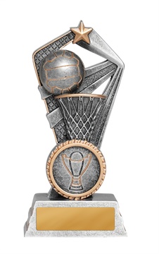 1015-8a_discount-netball-trophies.jpg