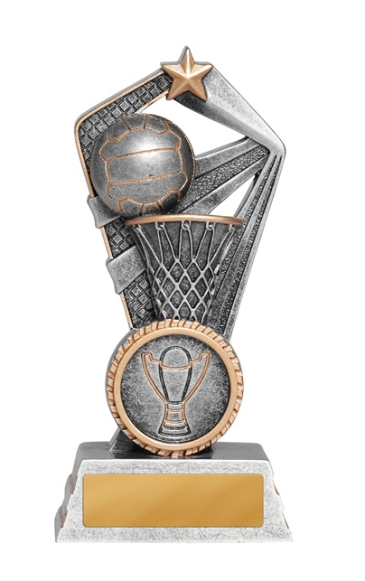 1015-8a_discount-netball-trophies.jpg