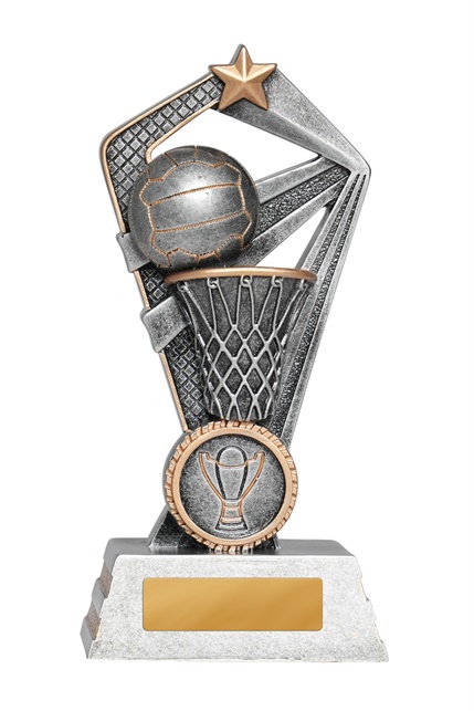 1015-8a_discount-netball-trophies.jpg