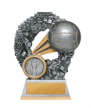 1016-8a_discount-netball-trophies.jpg