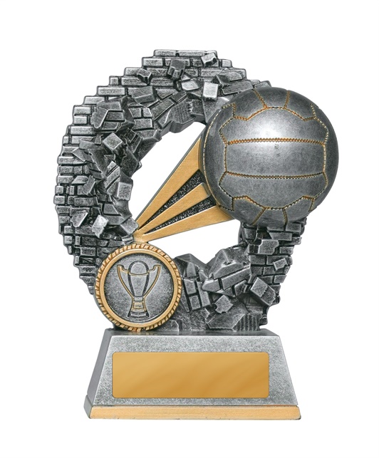 1016-8a_discount-netball-trophies.jpg