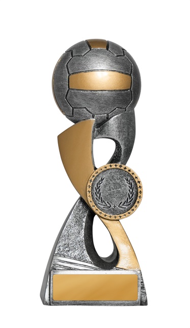 1053-8a_discount-netball-trophies.jpg