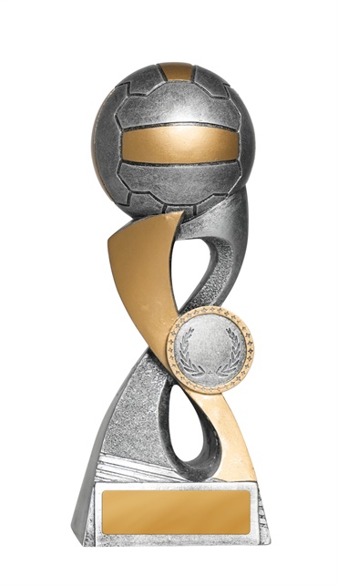 1053-8a_discount-netball-trophies.jpg