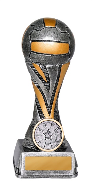 1055-8a_discount-netball-trophies.jpg