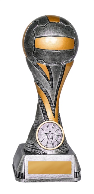 1055-8a_discount-netball-trophies.jpg