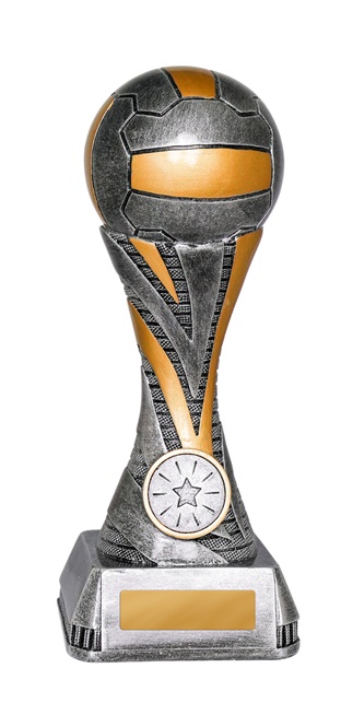 1055-8a_discount-netball-trophies.jpg