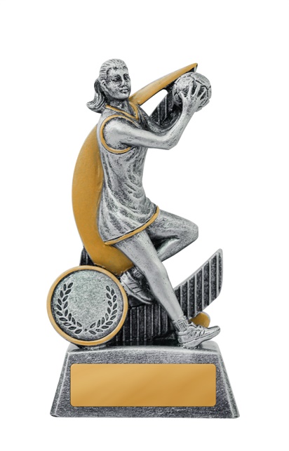 1056-8a_discount-netball-trophies.jpg