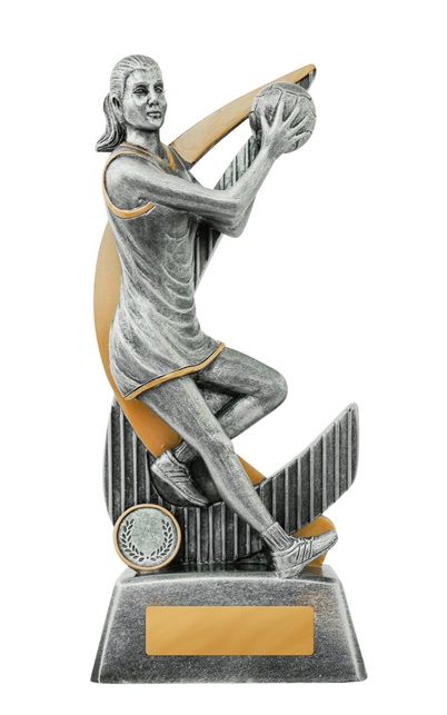 1056-8a_discount-netball-trophies.jpg