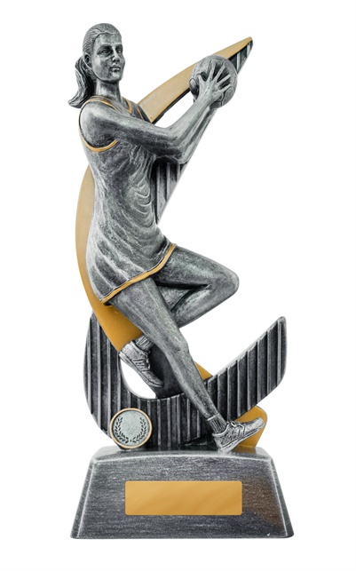 1056-8a_discount-netball-trophies.jpg
