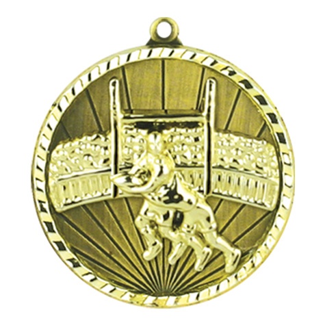 1068-6g_medals.jpg