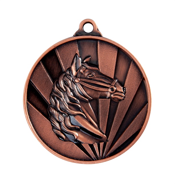 1076-29br_discount-horse-medals.jpg