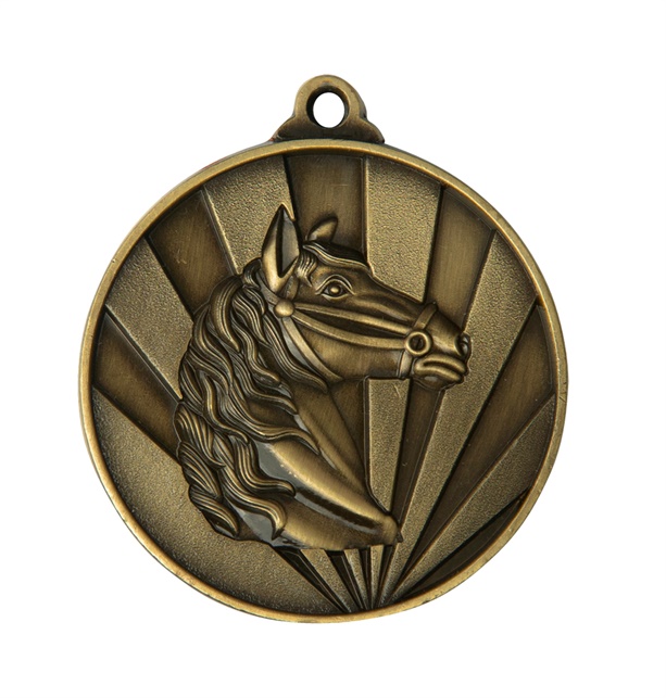 1076-29br_discount-horse-medals.jpg