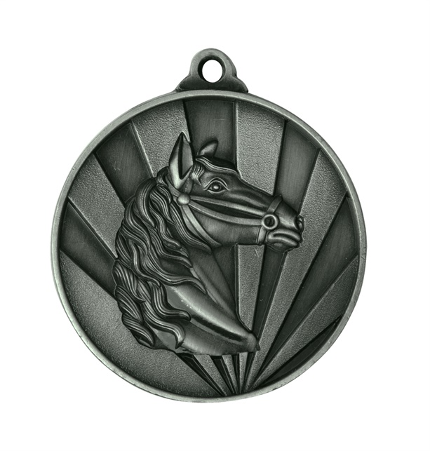 1076-29br_discount-horse-medals.jpg
