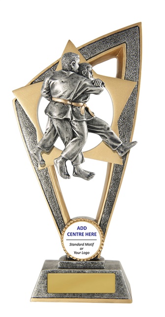 10a-cf11j_discount-martial-arts-trophies.jpg